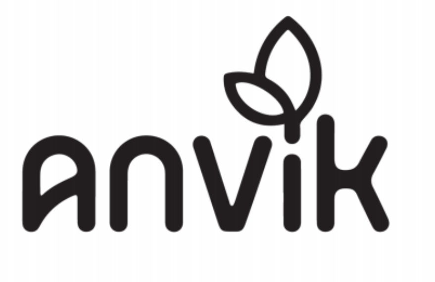 anvik.store